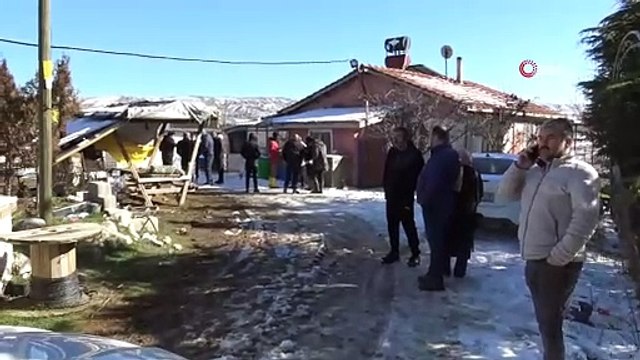 Başıboş köpekler dehşet saçtı! 11 büyükbaş hayvan telef oldu