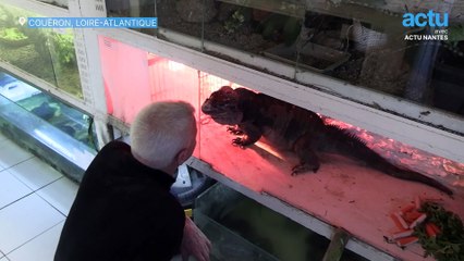 Il vit entouré d'alligators et de mygales