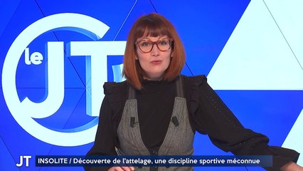 INSOLITE / Découverte de l'attelage, une discipline sportive méconnue
