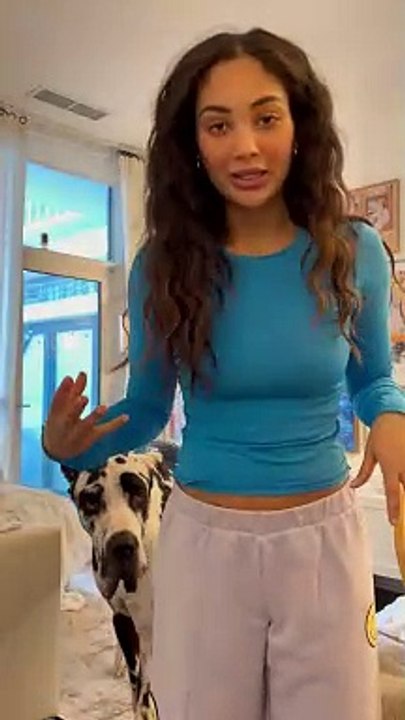 Great Dane Really Is That Big