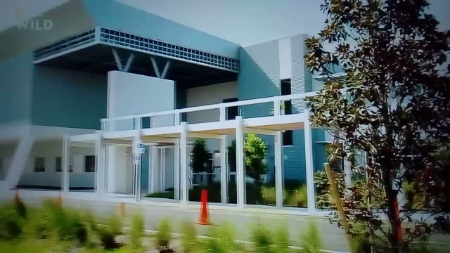 Aquamen les rois des aquariums A la pêche