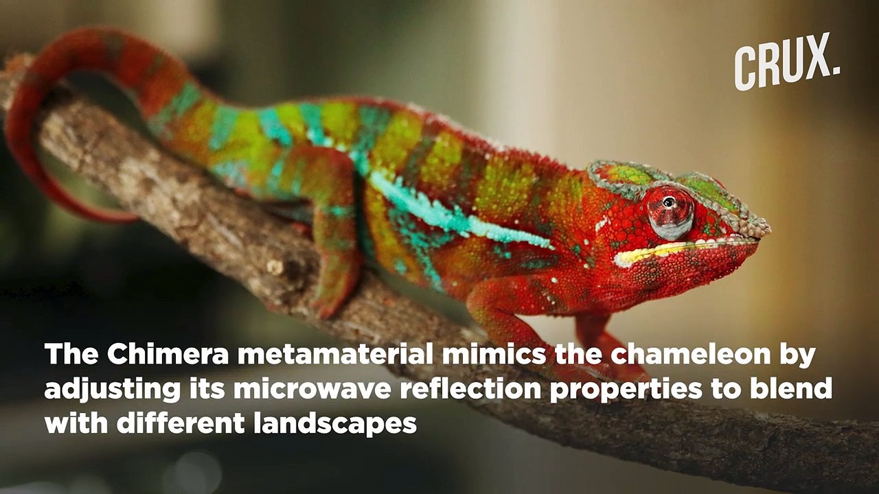 China's Stealth Innovation- 'Hybrid Camouflage' Inspired by Chameleons, Glass Frogs, and Dragons