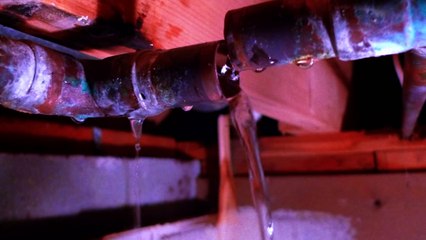 5 Casos Reales Que te Harán Dudar de este Mundo