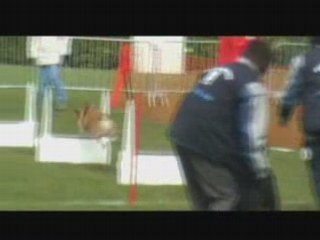 Blue berry en tournoi