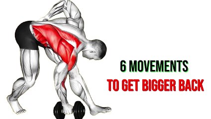 6 Movements To Build A Bigger Back | Back Workout