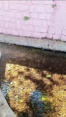 مدينة الحاجب عين خادم المغرب بلد جميل جدا