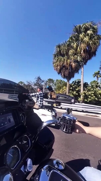 A Motorcycle Riding Dog