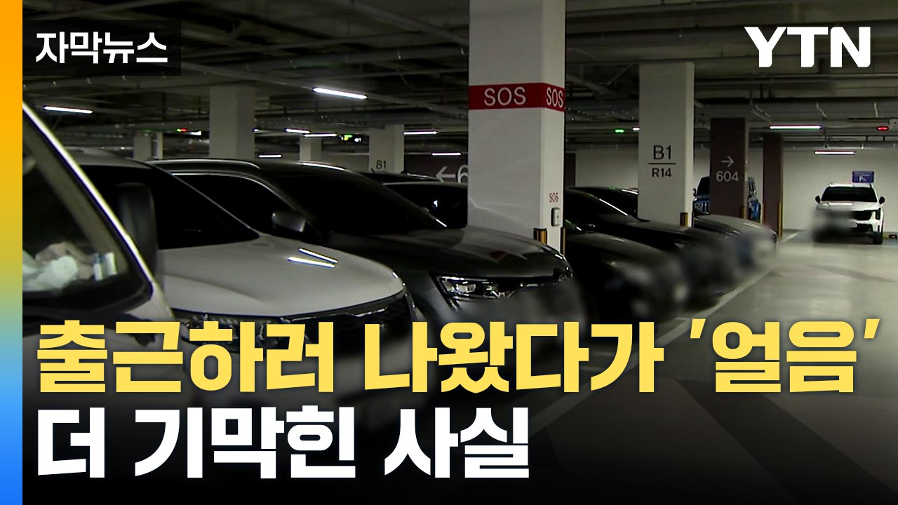 [자막뉴스] 자동차 주인인 양 자연스럽게...긴급 체포한 2명 알고 보니 / YTN
