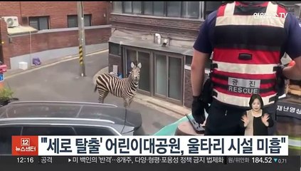'얼룩말 탈출소동' 서울어린이대공원, 울타리·차단시설 미흡 확인