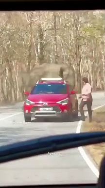 காட்டு யானையுடன் செல்பி; சுற்றுலா பயணியை தலைதெறிக்க ஓடவிட்ட ஒற்றை யானை - கேரளாவில் பரபரப்பு