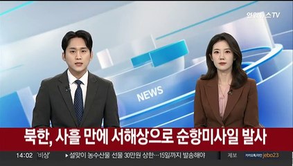 북한, 사흘 만에 서해상으로 순항미사일 또 발사