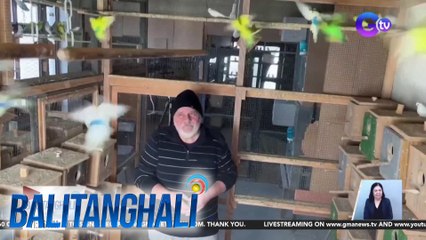 Mahigit 600 ibong parakeet, alaga ng isang lalaki sa North Macedonia | BT