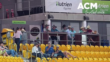 2024 Nutrien Classic Campdraft and Sale kicks off