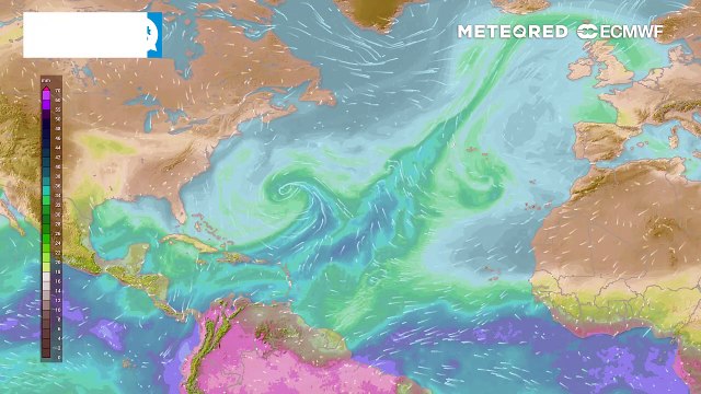 Pluie et neige : les précipitations font leur retour la semaine prochaine !
