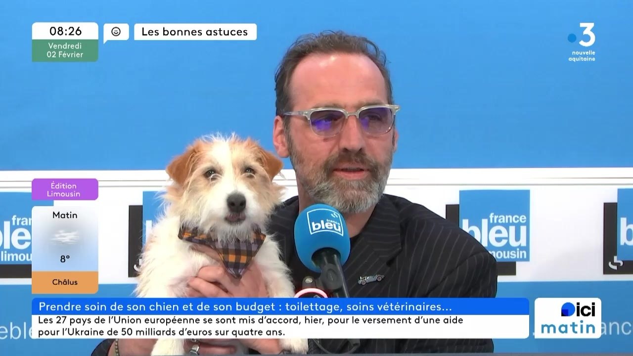Prendre soin de son chien à petit prix