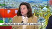 Eugénie Bastié : «Je rappelle que pendant l'entre-deux-tours, Emmanuel Macron a fait un grand discours écologique pour rallier les voix de la gauche, la guerre en Ukraine avait déjà commencé, tous les paramètres étaient déjà là»