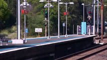 Two people killed after being hit by train in Sydney