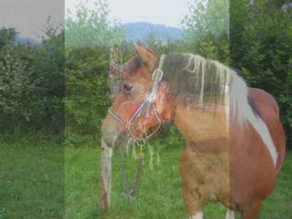 FaR-WeSt FoR EvEr