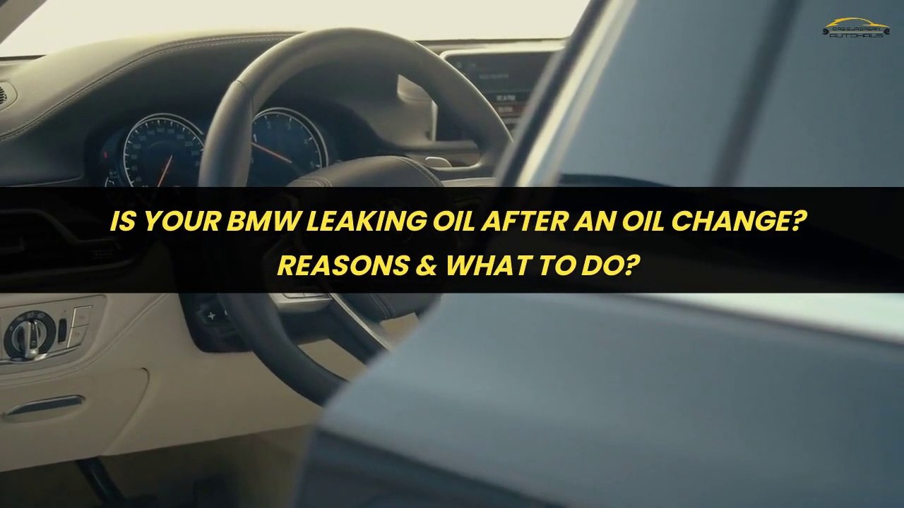 Is Your BMW Leaking Oil After An Oil Change? Reasons & What To Do?