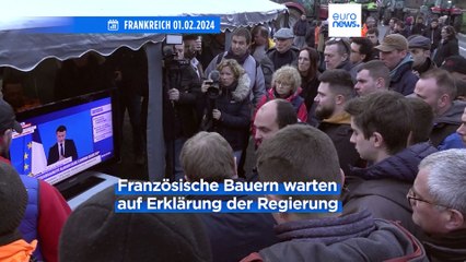 Europaweite Bauernproteste: Landwirte bewarfen EU-Parlament mit Eiern