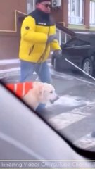 अंधा मालिक, स्मार्ट डॉगी | 1 मिनट की बेस्ट वीडियो, | Best video of 1 minute | #trending #shortvideo