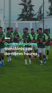 Quatre Algériens transférés ces dernières heures