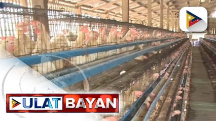 Agriculture sector, lumago ng 1.2% noong 2023