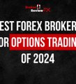 Best Forex Brokers for Options Trading of 2024