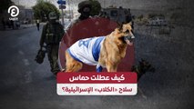 كيف عطلت حماس سلاح «الكلاب» الإسرائيلية؟