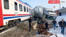 Hayvan yüklü tıra tren çarptı: Ölü ve yaralılar var