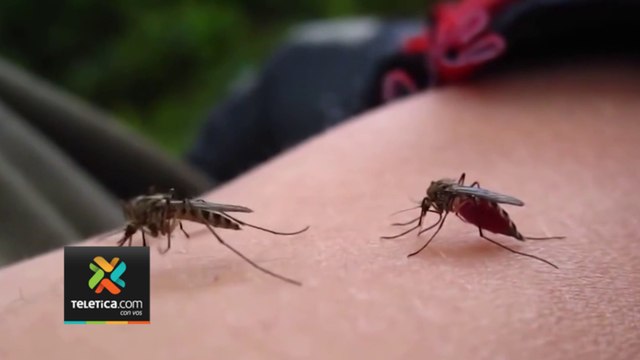 tn7-muevos-brotes-de-dengue-en-san-jose-y-tibas-020224