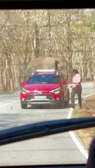 Watch: Angry elephant, then took pity and left it