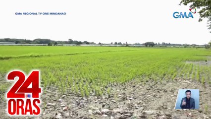 Libo-libong ektarya ng taniman, natutuyot na | 24 Oras