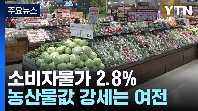 소비자물가 반 년 만에 2%대 둔화...반등 우려 여전 / YTN