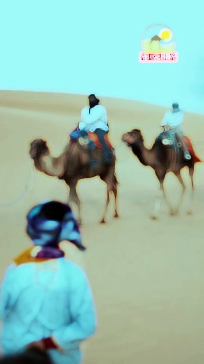 Dubai Safari Desert Camel Riding #dubaidesert