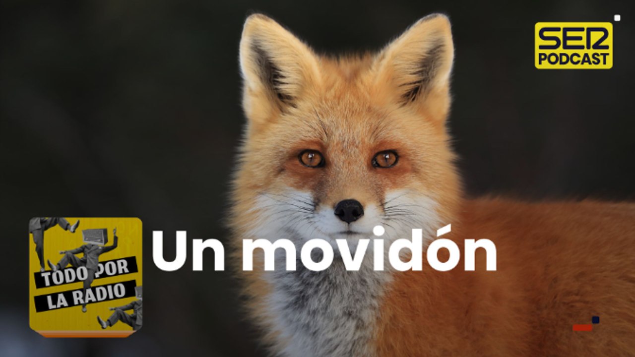Un movidón