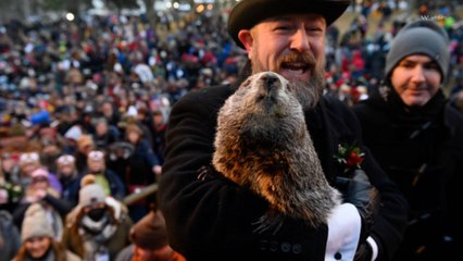Punxsutawney Phil Does Not See His Shadow