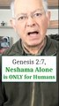 Genesis 2:7 Revealed: The Unique Gift of Neshama Reserved for Humans