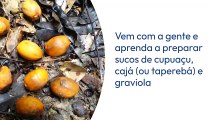 3 sucos com frutas típicas da Amazônia para ter mais saúde