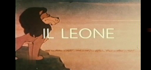 Il Regno Degli Animali - Il Leone [ITA]