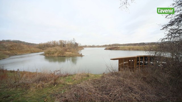 La Ville de Visé et la Région wallonne inaugurent le nouveau parcours pédestre de la frayère à Lanaye pour “observer la nature tout en la préservant”