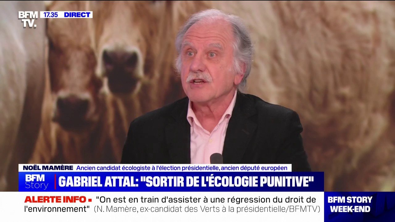 Noël Mamère (ancien député européen écologiste): "La FNSEA a un rôle majeur dans cette crise parce qu'elle cogère la politique agricole de notre pays avec l'État depuis les années 50"