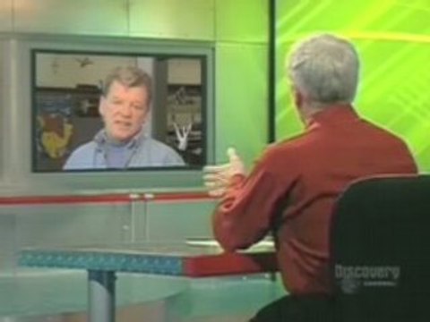 One Rare Migrating Crane Remains After Deadly Storm