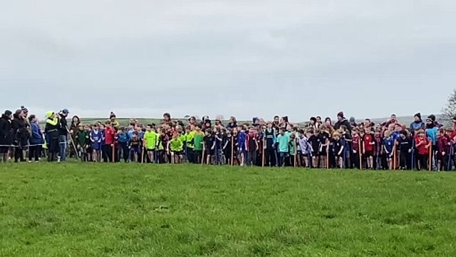 Landrake Primary School Cross Country Year 3/4 boys race!