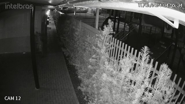 Câmera mostra momento em que homem é detido pela GCP após furto de fios na Escola JK