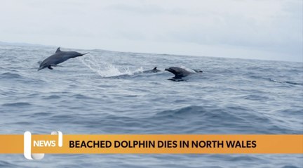 Wales headlines 2 February: Public could be consulted on 20mph changes