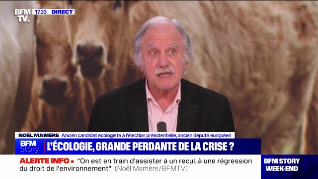 Pause du plan Écophyto: Emmanuel Macron n'a jamais aimé l'écologie et n'a jamais compris ce que ça pouvait apporter à notre société , pour l'ancien député européen écologiste Noël Mamère