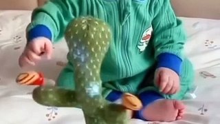 Babies Funny Reactions on Dancing Cactus