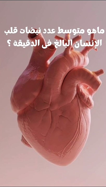 ماهو متوسط عدد نبضات القلب في جسم الإنسان البالغ فى الدقيقة ؟