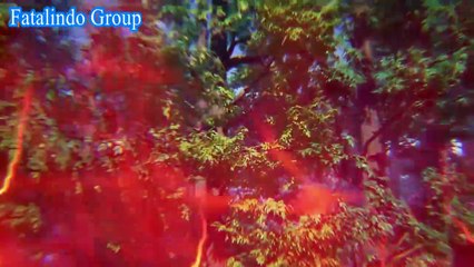 Throne Of Seal Episode 55 Sub Indo